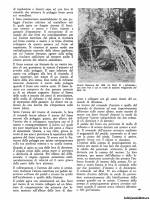 Страница Edizioni Bizzarri Fronte Terra 1 - Carri Armati Italiani 1918-1940 скачать